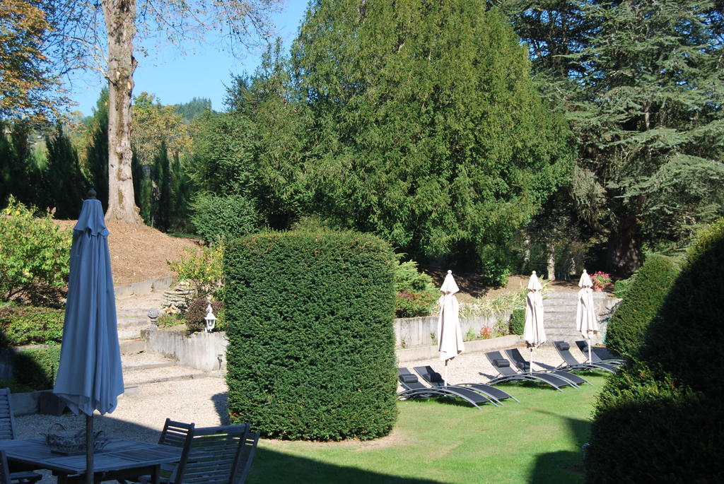 Chateau De Chantelauze Olliergues Dış mekan fotoğraf